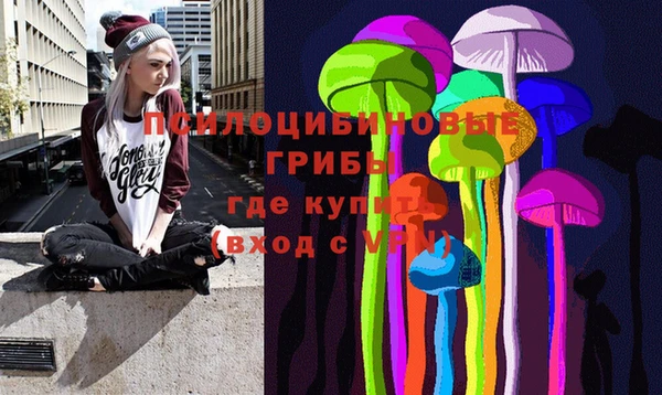тгк Алексин