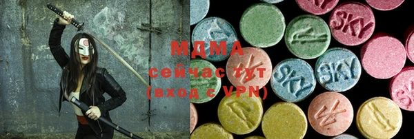 гашик Алексеевка