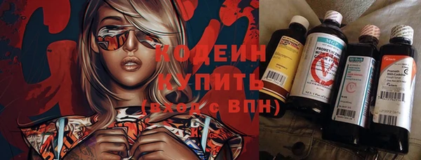 дурь Алзамай