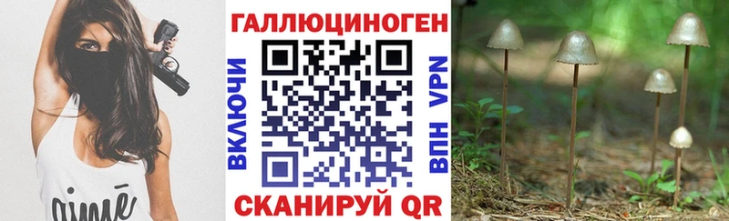 Псилоцибиновые грибы Magic Shrooms  наркошоп  Сурск 