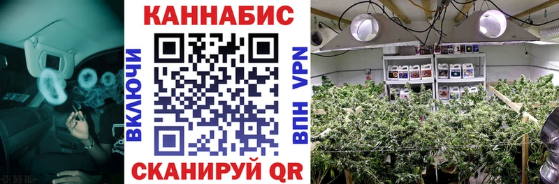 где купить   Сурск  Бошки Шишки ГИДРОПОН 